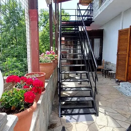 Exohi Daire